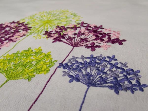 Blog - Bernina B700 en test