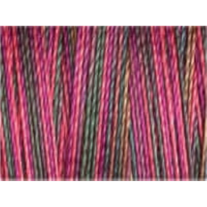 Fil Coton, quilting N°30 300m 4039 Fil Coton, quilting N°30 300m 4039