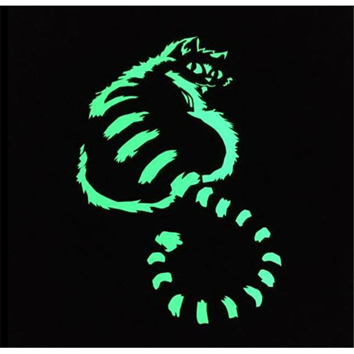 Flex Phosphorescent 30cm x 50cm Flex Phosphorescent 30cm x 50cm